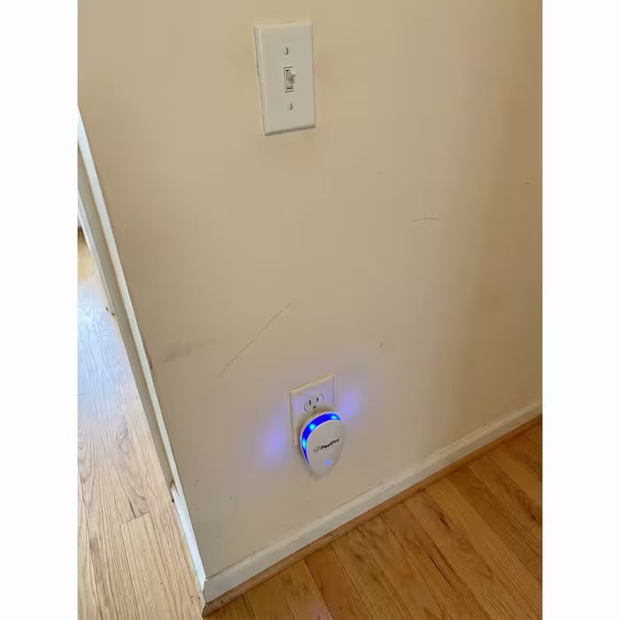 Review Card